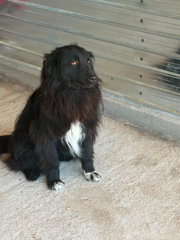 Photo #1 de LUNNA