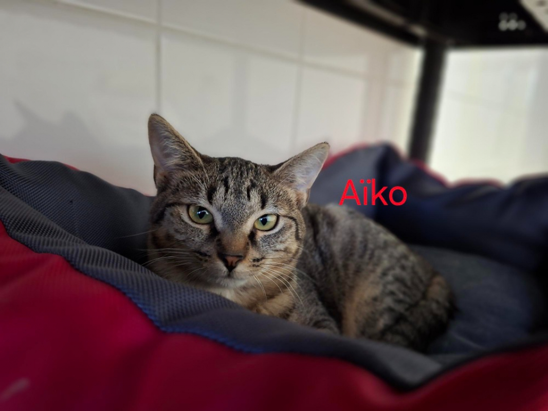 Photo de Aiko