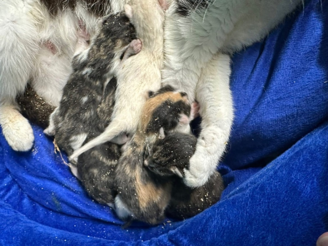 Photo de A_nommer
