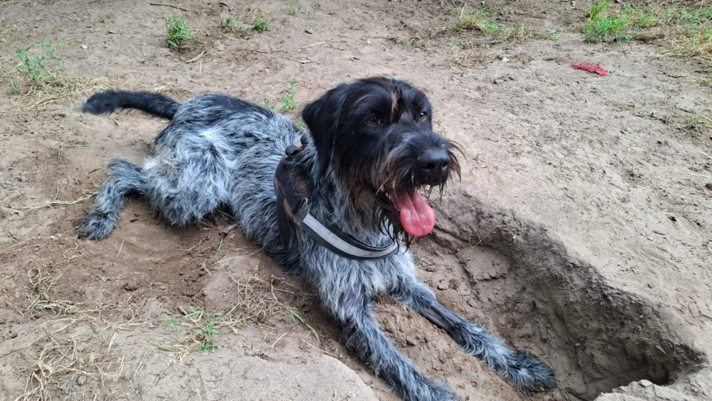 Photo de Athos