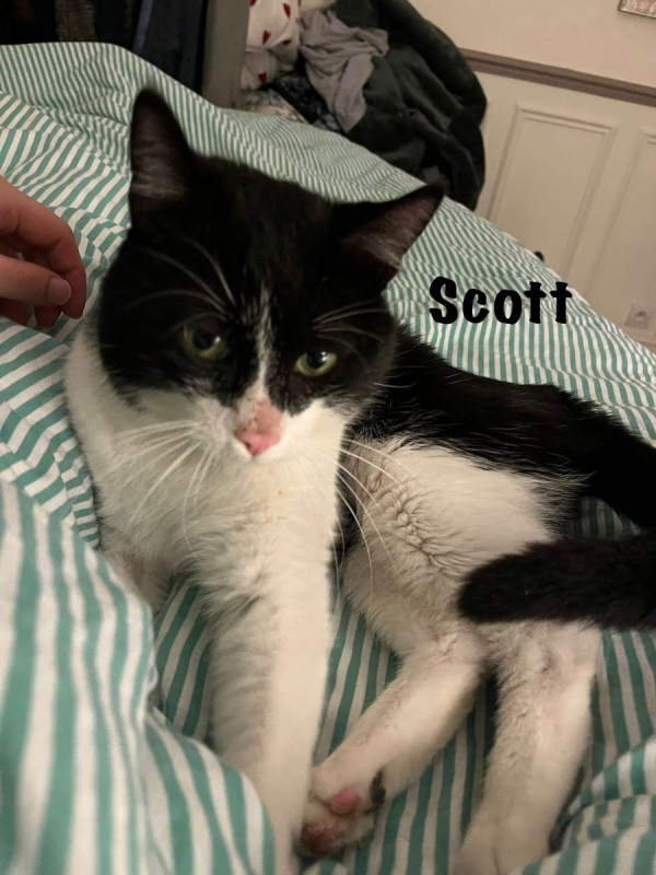 Photo #9 de SCOTT