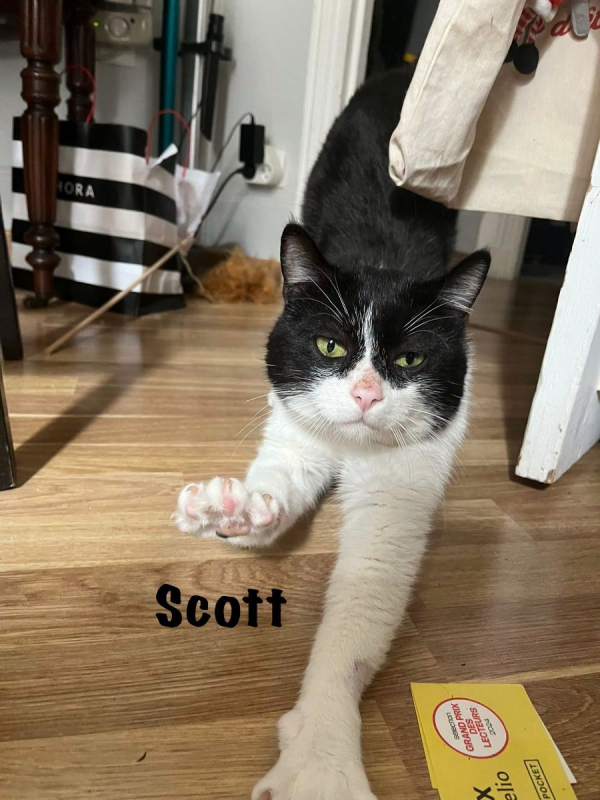 Photo #10 de SCOTT