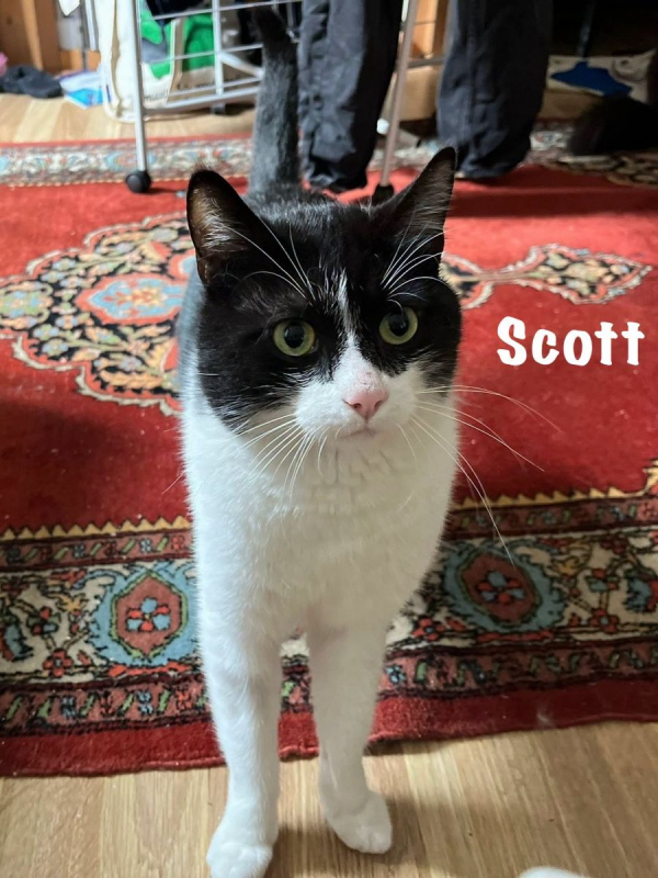 Photo #5 de SCOTT