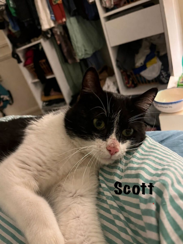 Photo #3 de SCOTT