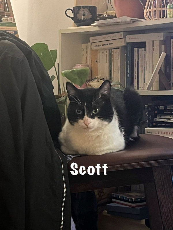 Photo #6 de SCOTT
