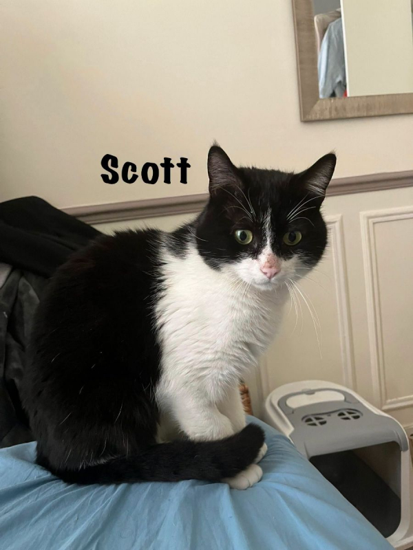Photo #8 de SCOTT