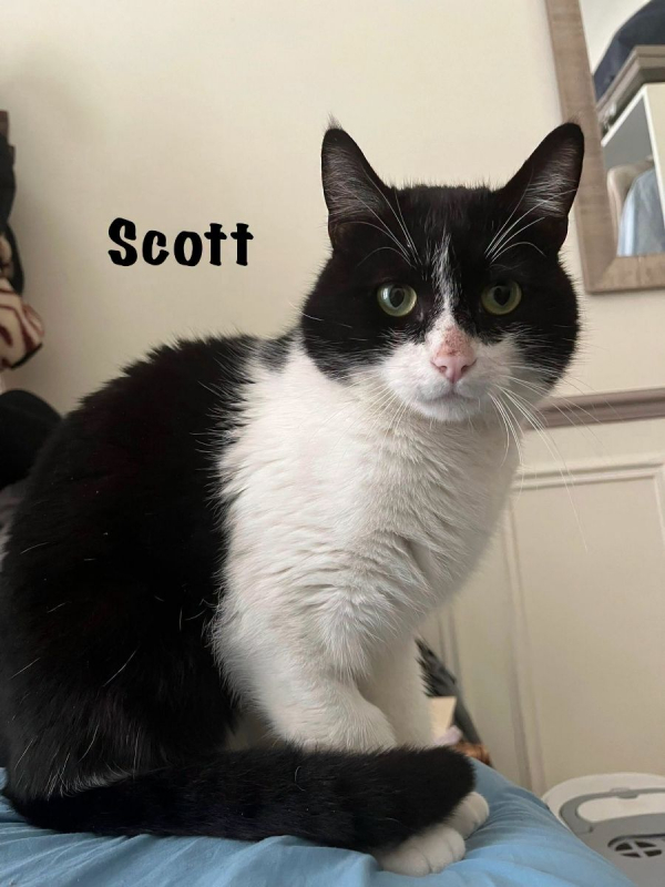 Photo #2 de SCOTT