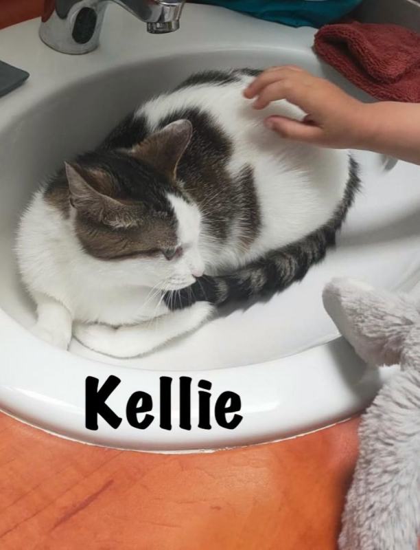 Photo #1 de KELLIE