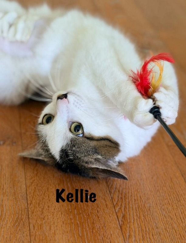 Photo #4 de KELLIE