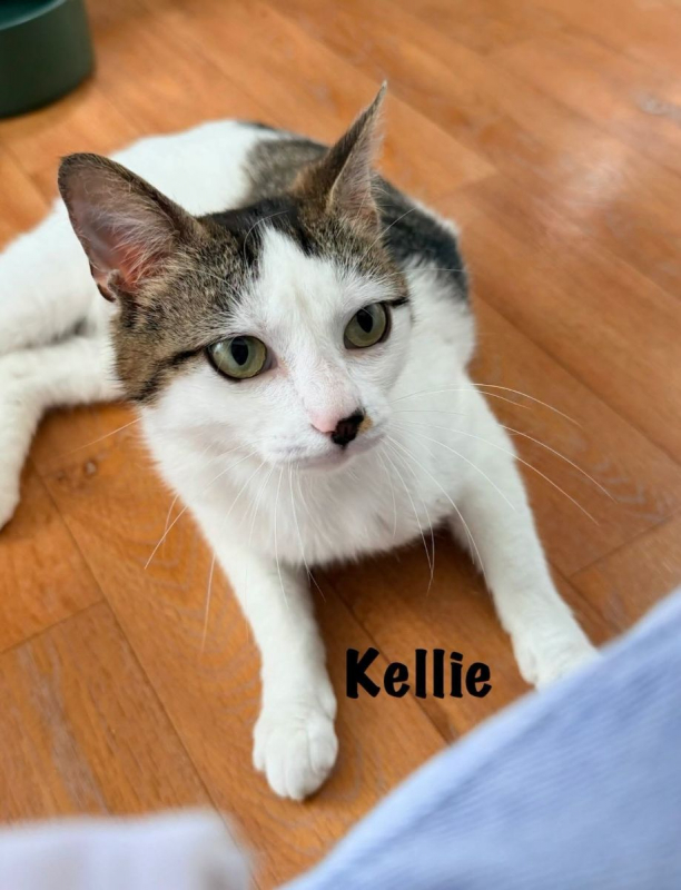 Photo #2 de KELLIE