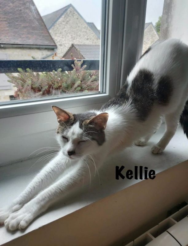 Photo #8 de KELLIE