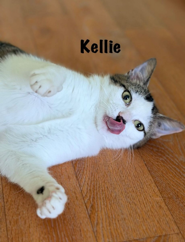 Photo #7 de KELLIE