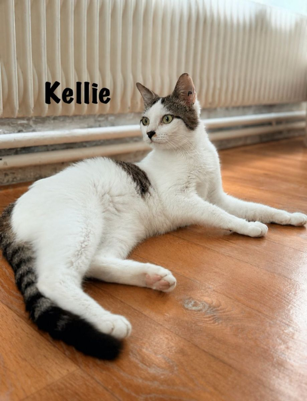 Photo #6 de KELLIE
