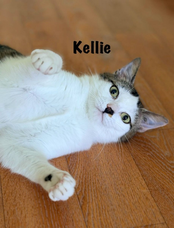 Photo #3 de KELLIE