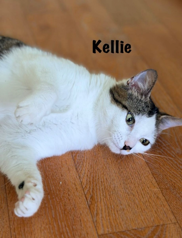 Photo #9 de KELLIE