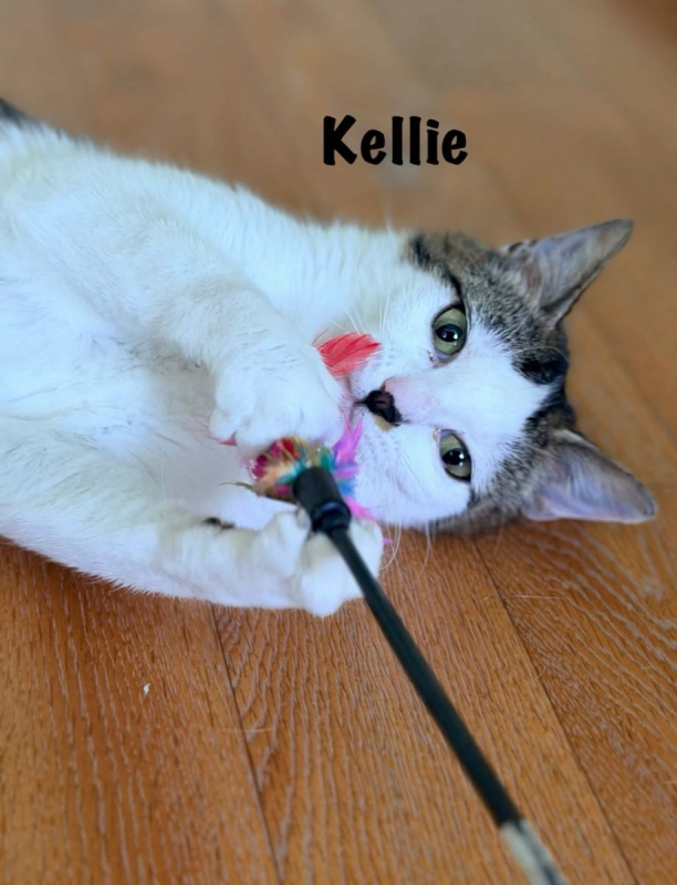 Photo #10 de KELLIE