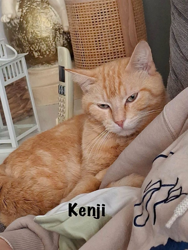 Photo #10 de KENJI