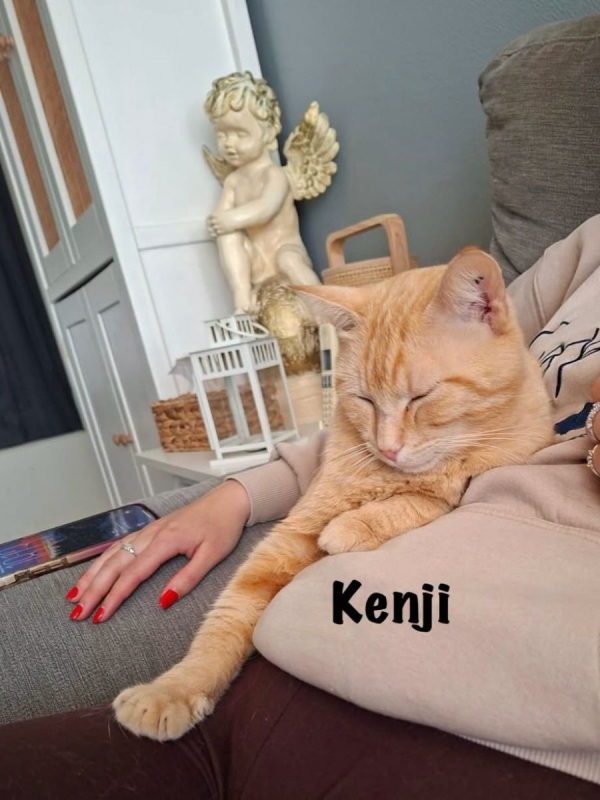 Photo #3 de KENJI