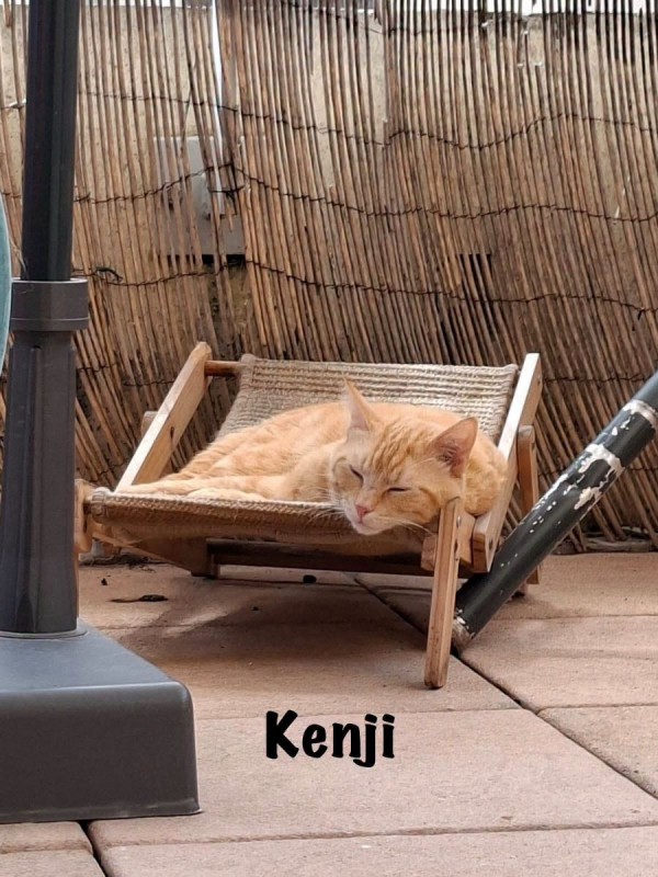 Photo #4 de KENJI