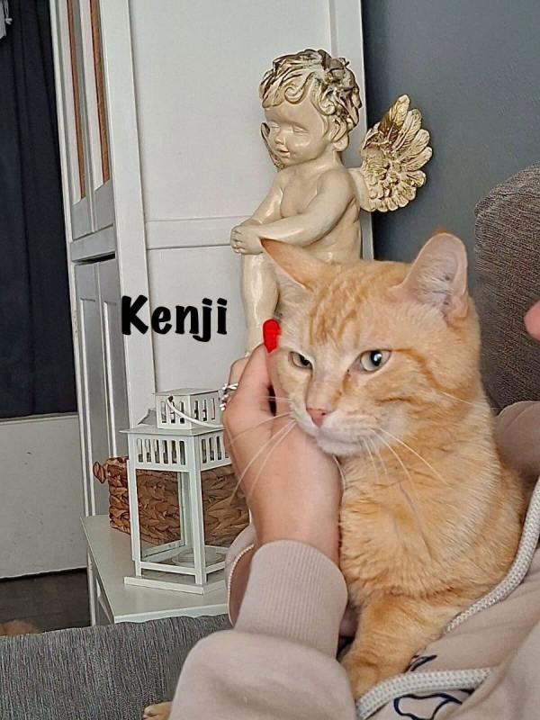 Photo #8 de KENJI
