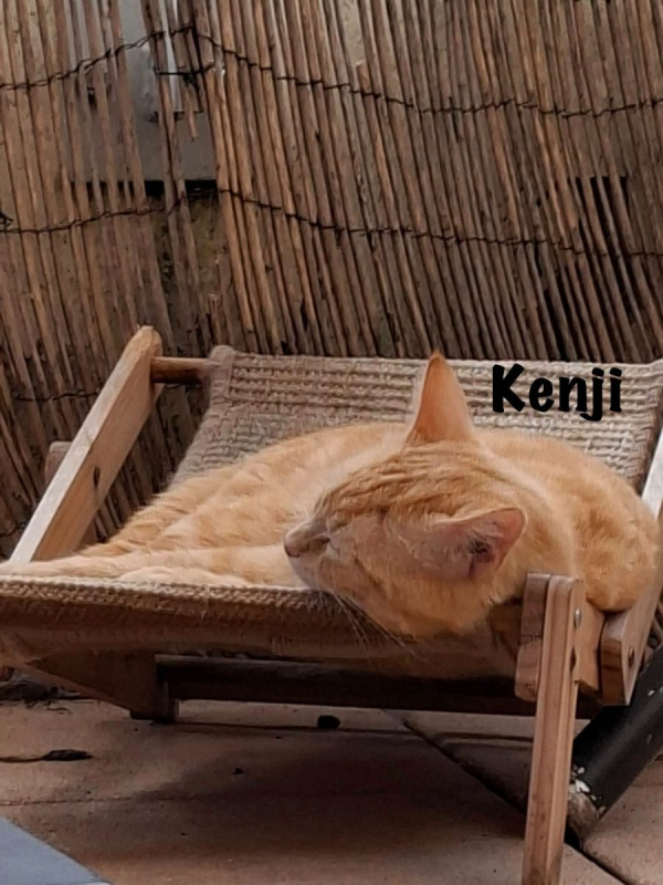 Photo #9 de KENJI