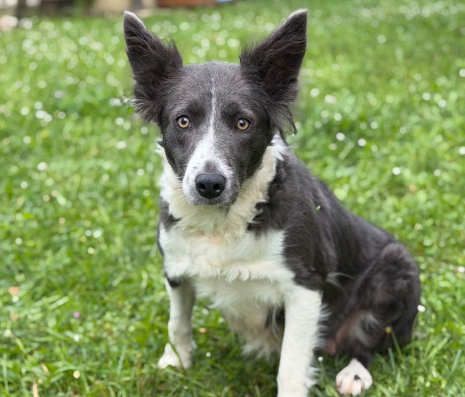 Photo de Ulina