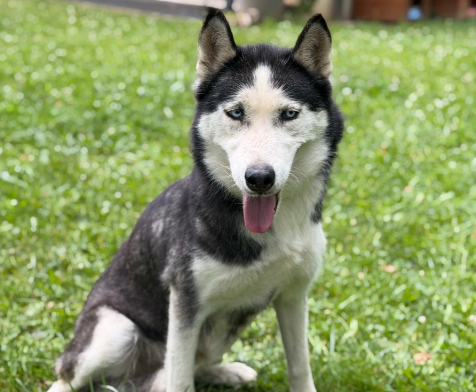 Photo de Talya