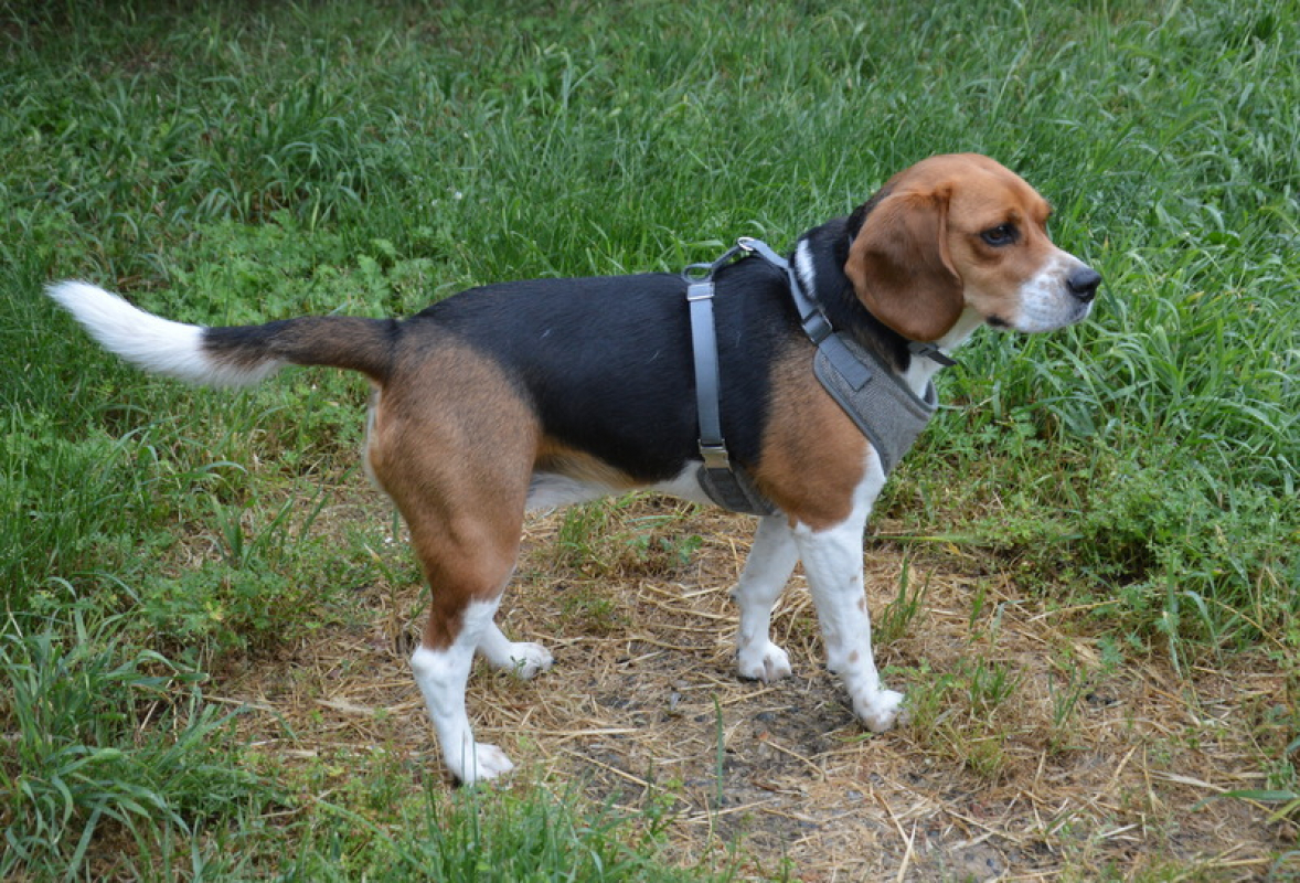 Photo #2 de Sally