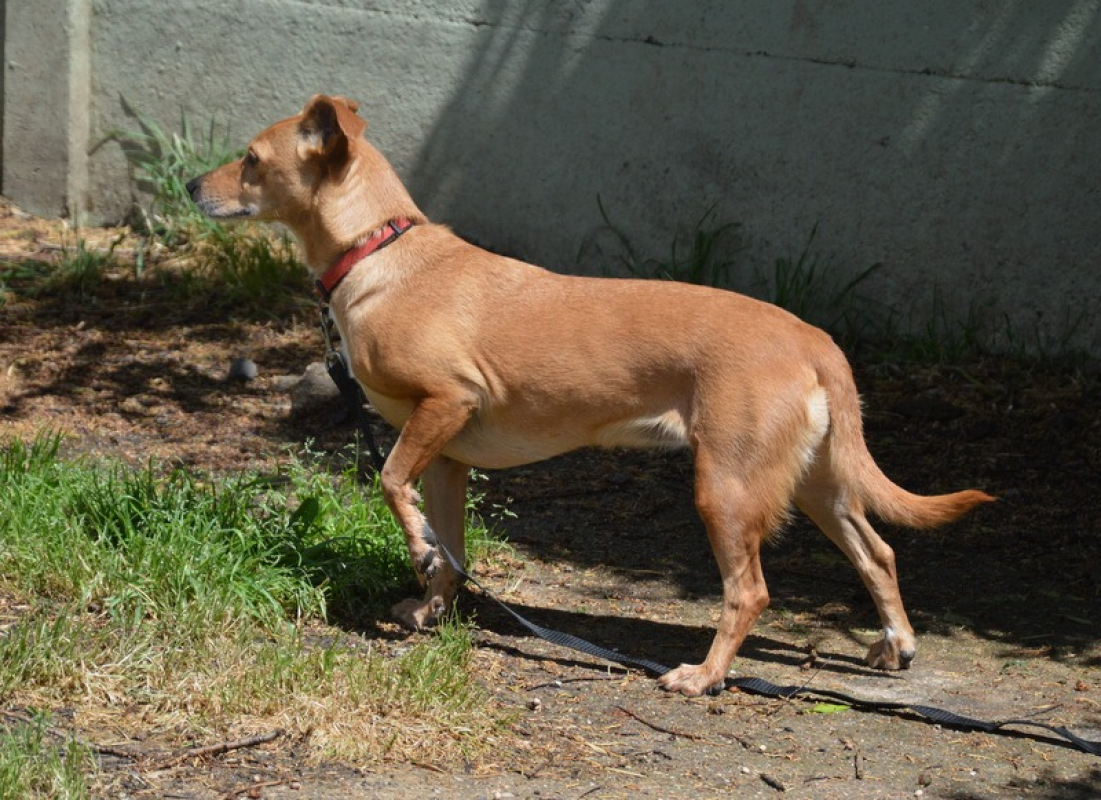 Photo #4 de Kali