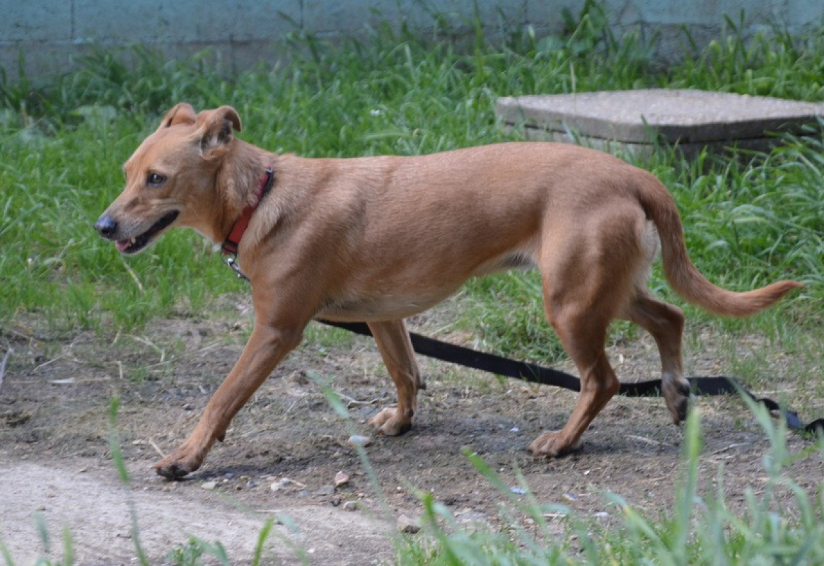 Photo #6 de Kali