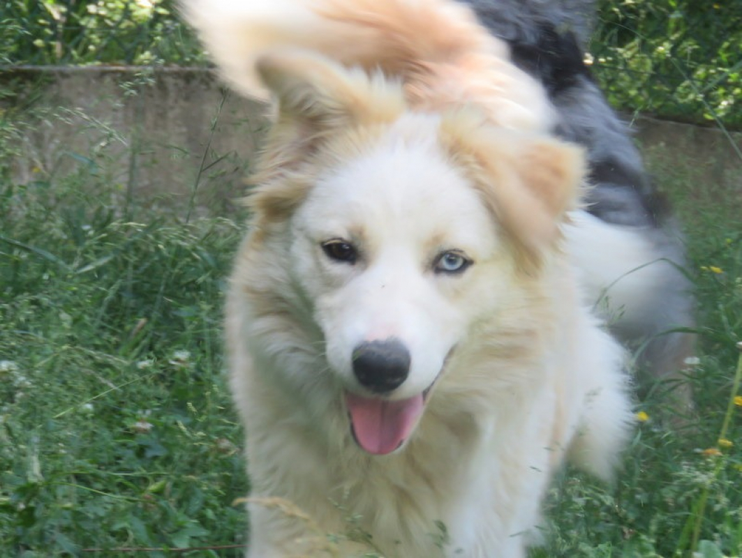 Photo #1 de Skye