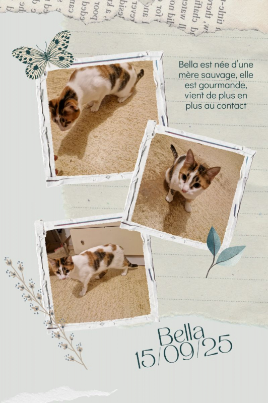 Photo de Bella