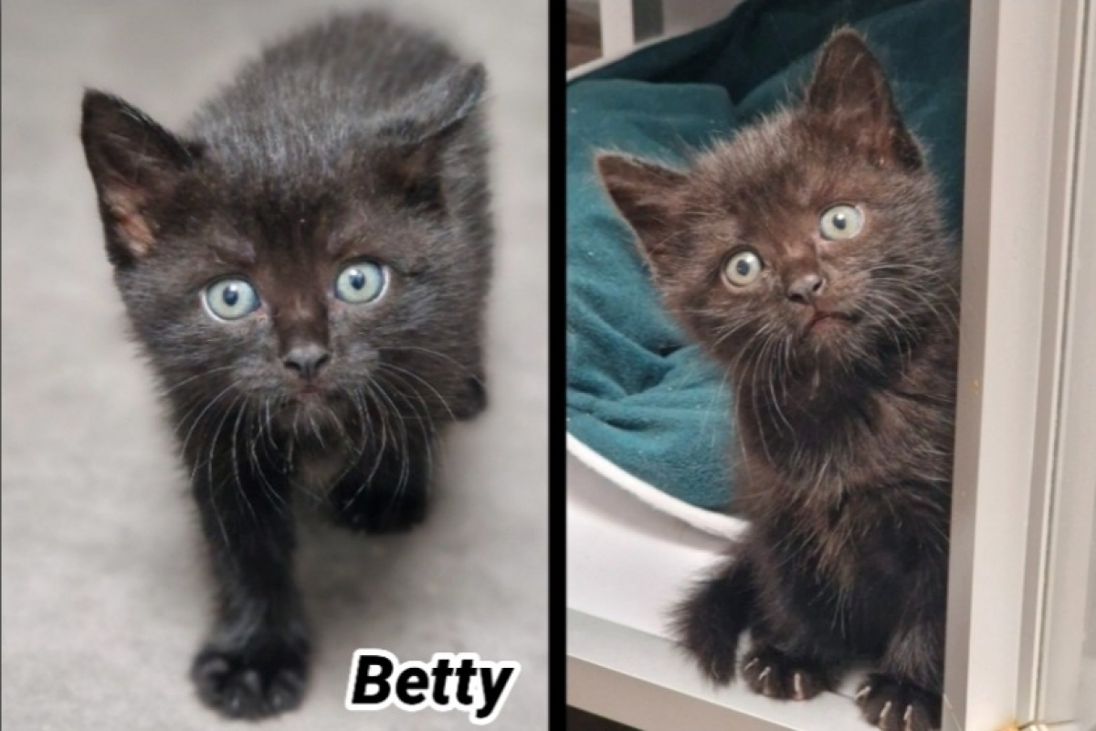 Photo de Betty