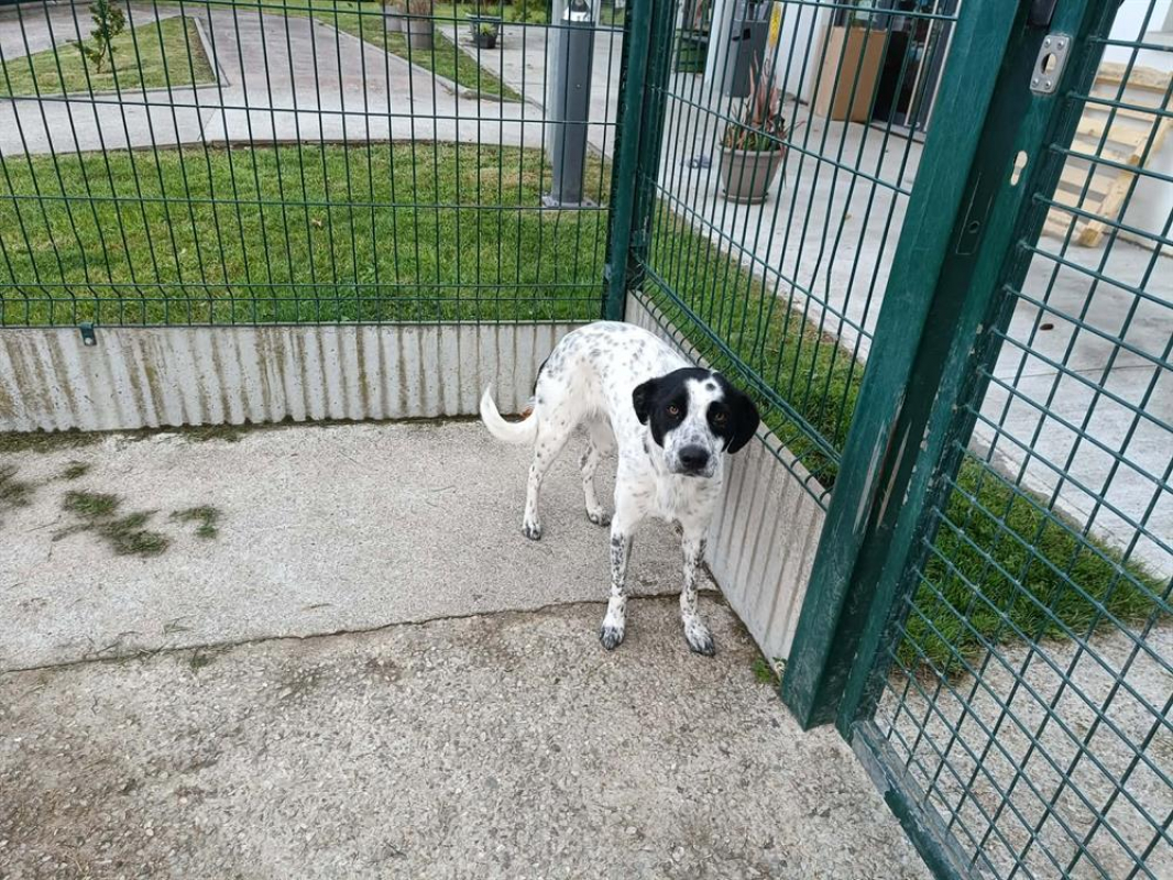 Photo #5 de Marsu