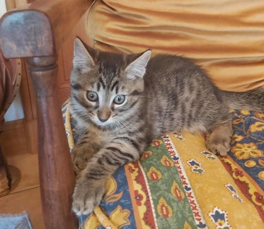 Photo de Pattami