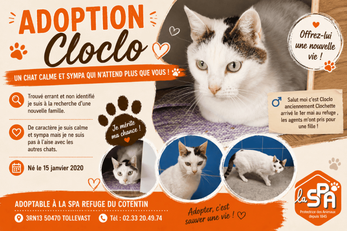 Photo de Cloclo