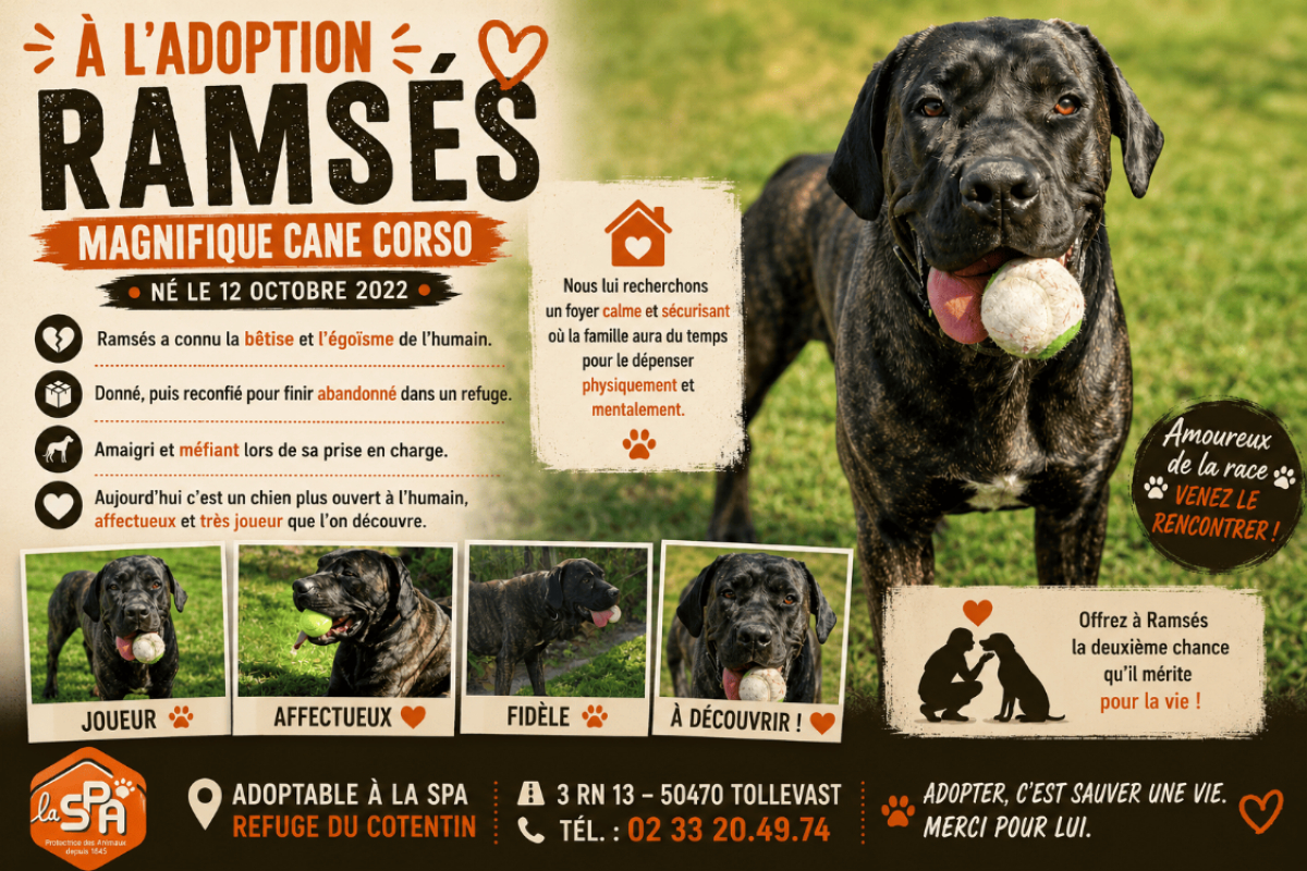 Photo de Ramses