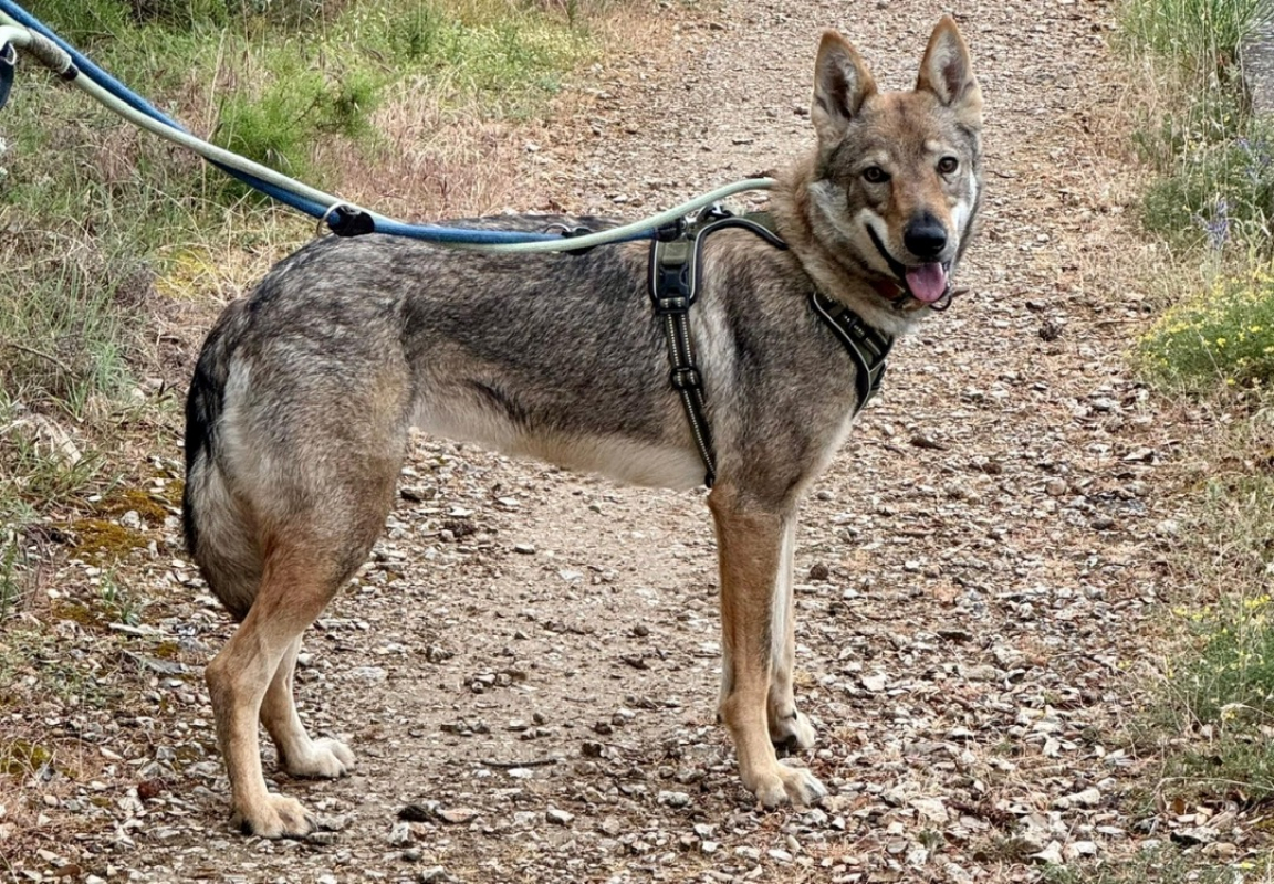 Photo #2 de Freya