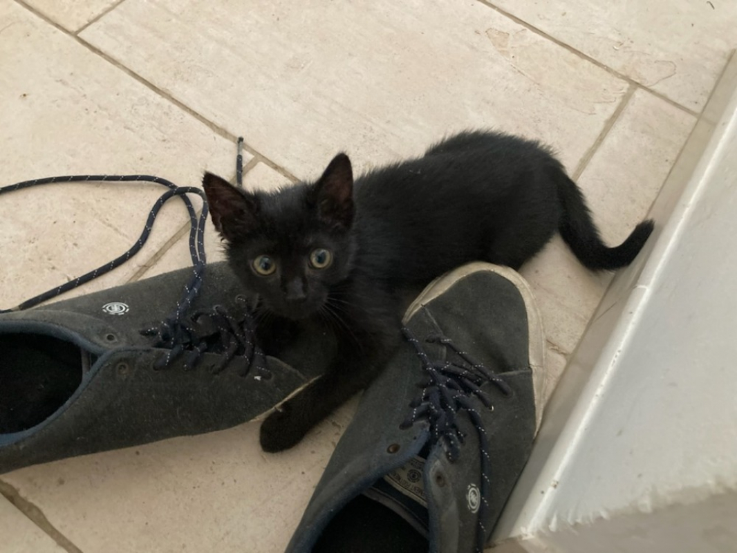 Photo de Lilya