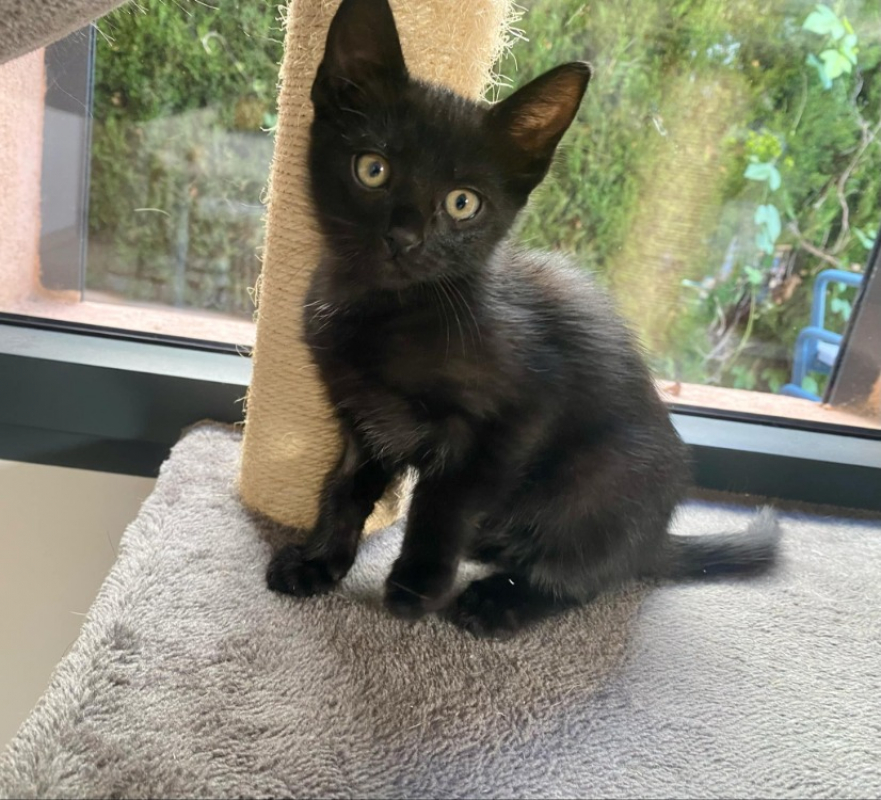 Photo de Bijou