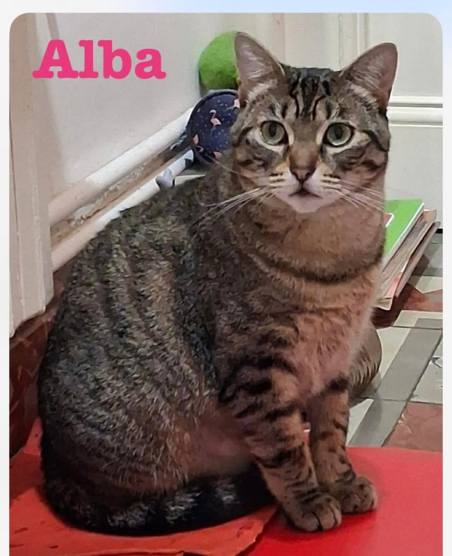Photo #1 de Alba