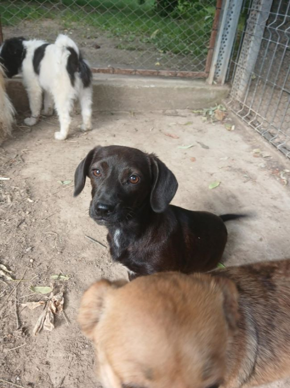 Photo #4 de Liesel