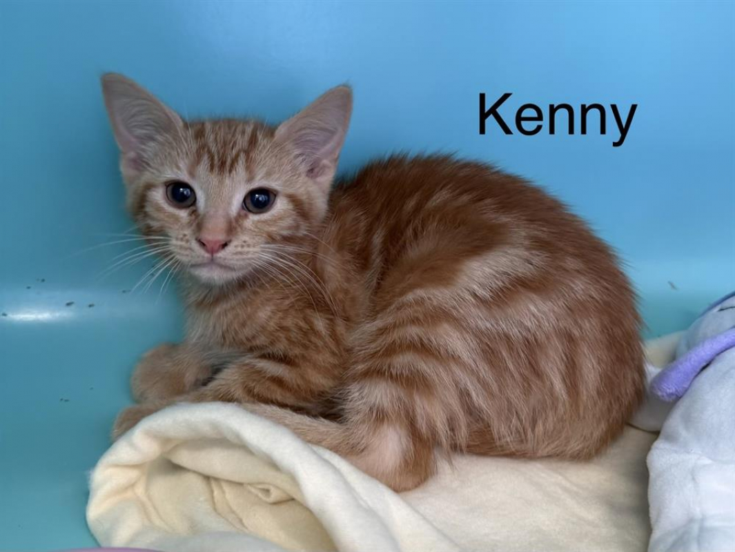 Photo de Kenny