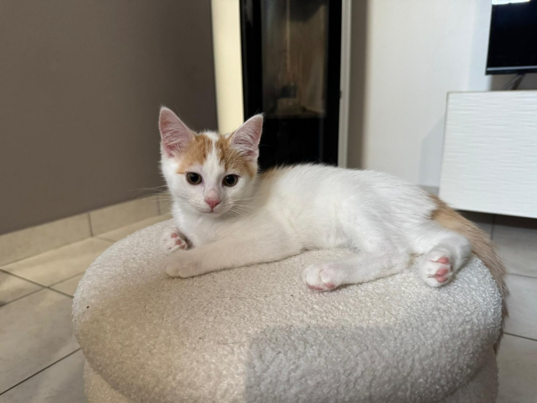 Photo de Wolfgang