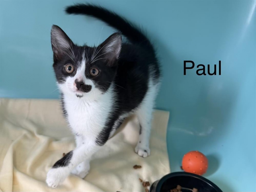Photo de Paul
