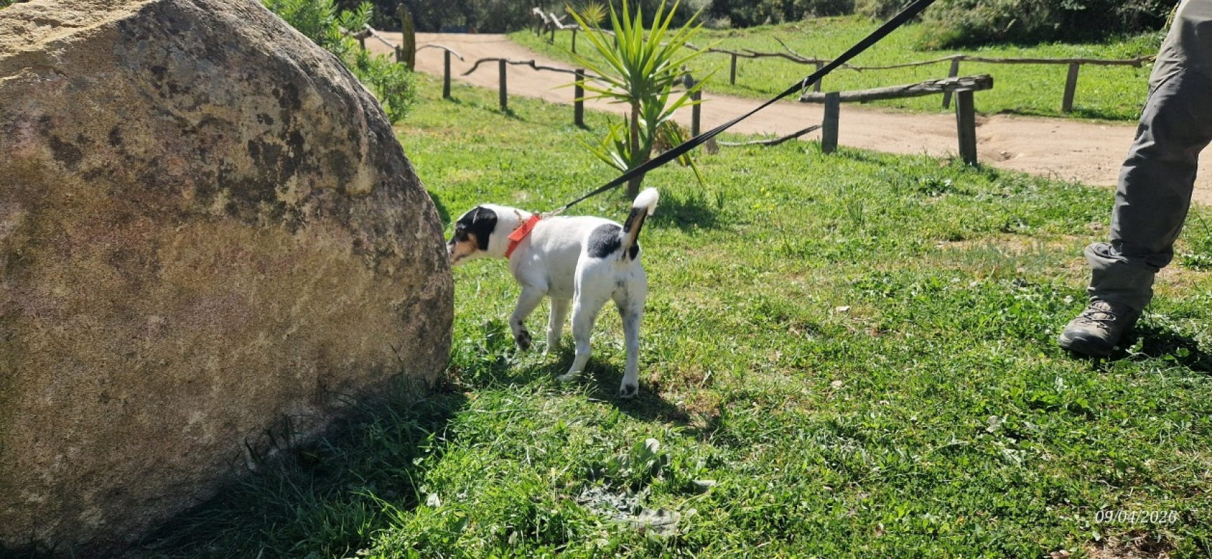 Photo #5 de Missy