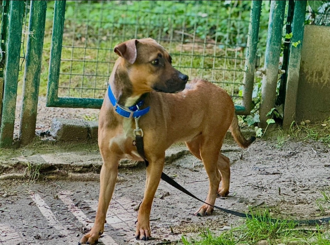 Photo #2 de Akira