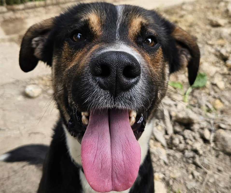 Photo de Poumba