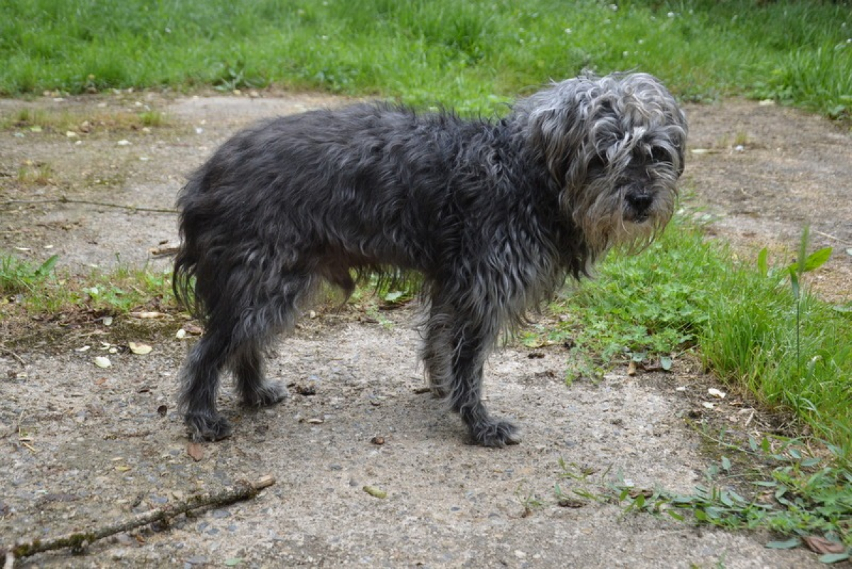 Photo #2 de Hugo