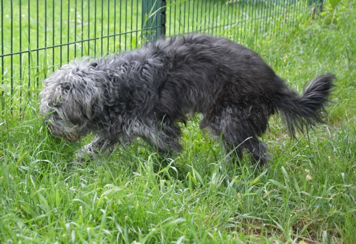 Photo #4 de Hugo